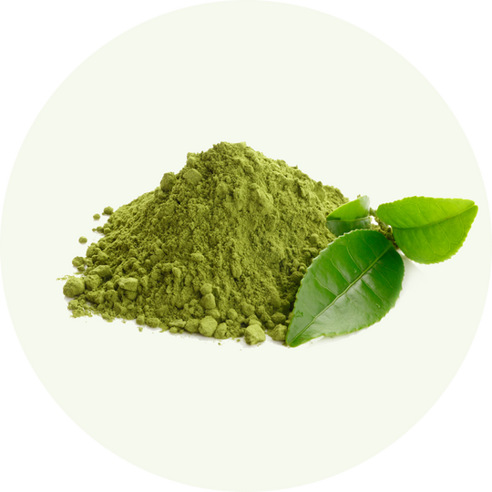 Organic Matcha Tea Powder: