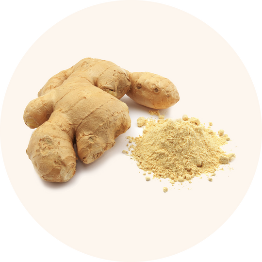 Organic Ginger Root Powder: