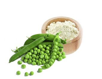 Organic Pea Protein: